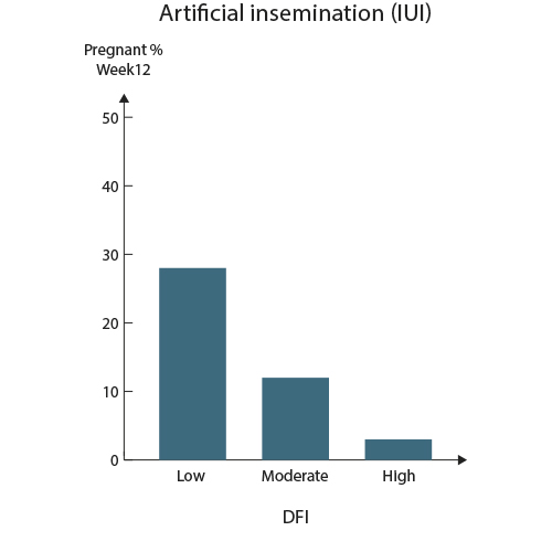 Artificial Insemination IUI