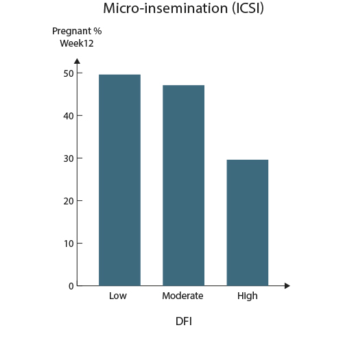 icro Insemination ICSI
