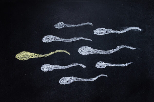 Onlayn rus porno eshak etuk ayollar